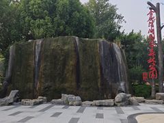 -合肥滨湖国家森林公园