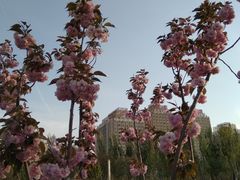 -廊坊文化艺术中心