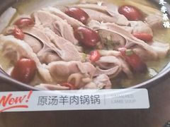 -九毛九西北菜(大东海店)