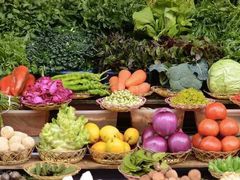 -云海肴·汽锅鸡·云南菜(天津国金汇店)