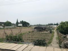 -青浦采草莓天天草莓园