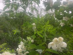 -碓臼峪自然风景区