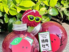-Mr.Fruits水果先生(北京市百货大楼店)