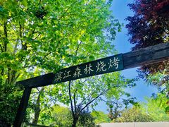 -上海滨江森林公园