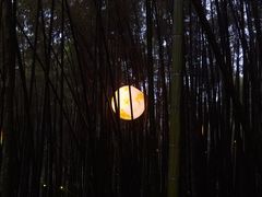 -杭州黄龙洞