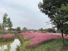 -江苏三台山国家森林公园