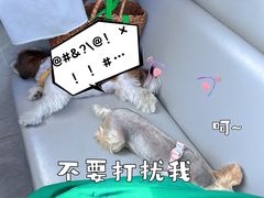 -黄牛肉馆·皖南土菜
