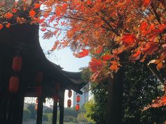 -梅园
