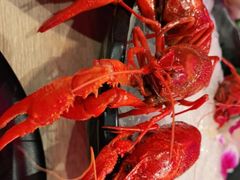 -红盔甲·小龙虾(车公庙店)