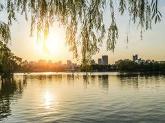-黄兴公园