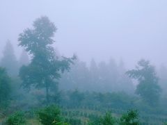 -四明山国家森林公园