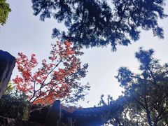 -个园