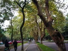 -四川大学(望江校区)