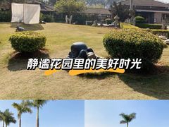 -惠和石文化园