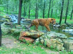 -北京野生动物园