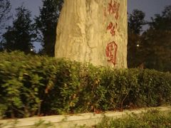 -神仙树公园