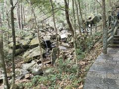 -姑婆山旅游区