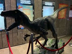 -武商摩尔影城(国广IMAX激光店)