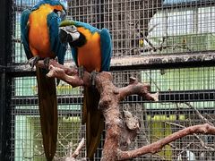 -北京野生动物园