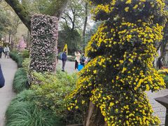 -杭州植物园