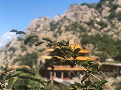 -鸡鸣山旅游风景区