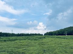 -红崖峡谷景区