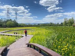 -永定河休闲森林公园