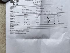 -邦泰·异宠动物医院