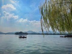 -野蔓果·山野菜(西湖景区·龙井茶田店)