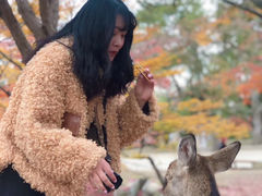 -奈良公园