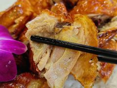 -绿雅居原生态农庄(小涌店)