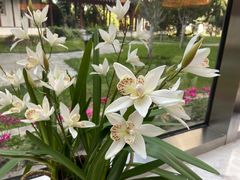 -亮马河饭店翠雅咖啡厅