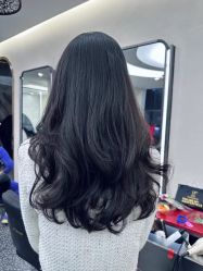 -IP SALON