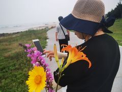-桔子海鲜烧烤大排档(金沙滩店)