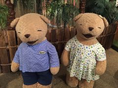 -济州岛泰迪熊博物馆