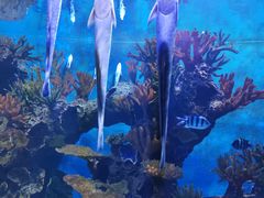 -多彩贵州城极地海洋世界