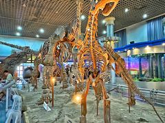 -国家自然博物馆