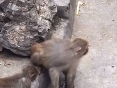 -昆明动物园