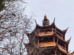 -红梅公园