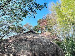 -河姆渡遗址博物馆