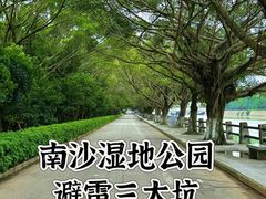 -大湾区中央湿地公园
