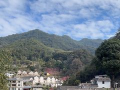-雁南飞茶田景区