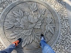 -莲花池公园