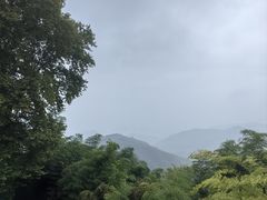 -莫干山风景区
