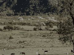 -石棉县孟获城