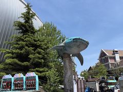 -烟台海昌鲸鲨海洋公园