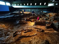 -自贡恐龙博物馆