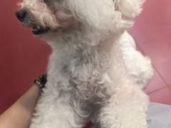 -和它·交个朋友·狗咖猫咖(爱琴海店)