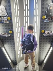 -乐高授权专卖店(浦东嘉里城店)