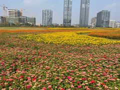-映月湖中央公园